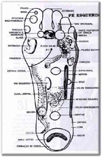 Planta do Pé Esquerdo