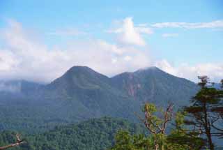 Em Hakone, o gás azulado faz os bosques parecer mais fundo