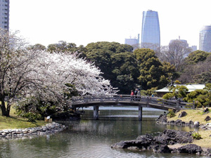 Vista para o jardim Hama Rikyu.