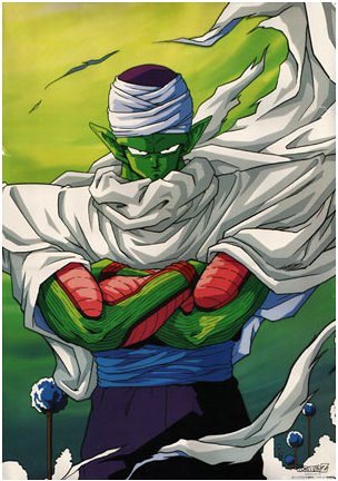 Piccolo Jr.