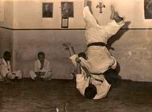 Apresentação de artes marciais .