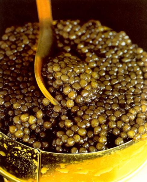 Imagem:Caviar1.jpg